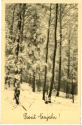 neujahr verschneiter wald