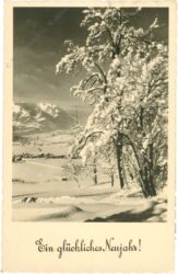 neujahr verschneite landschaft