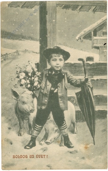 neujahr bub mit glücksbringer