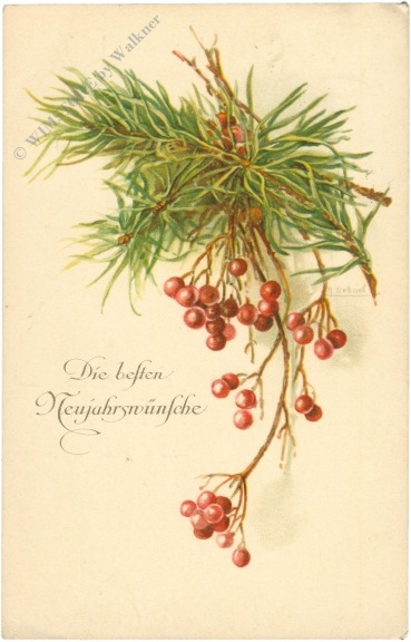 neujahr zweige mit beeren