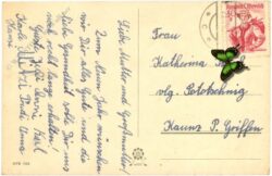 neujahr zweig mit glocken