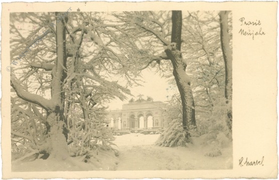 neujahr verschneiter park