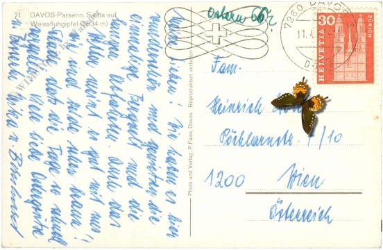 davos, parsenn, siesta auf weissfluhgipfel