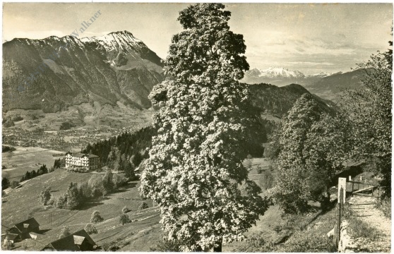 bürgenstock, hotel honegg mit stanserhorn