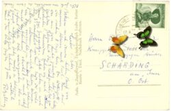 zugspitze, blick von der zugspitze auf d. schneeferner