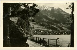 sachseln, partie am seeweg