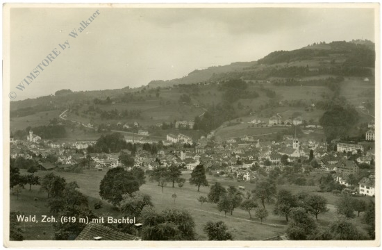 wald, mit bachtel wald, mit bachtel