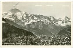 schynige platte, aussicht