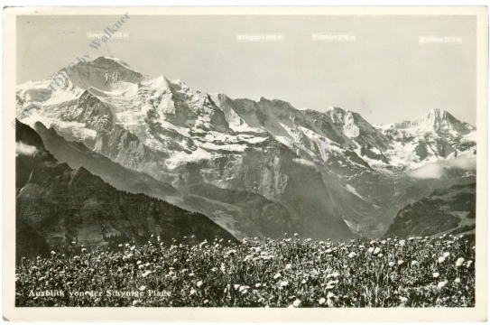 schynige platte, aussicht schynige platte, aussicht