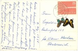 aarburg, ansicht aarburg, ansicht