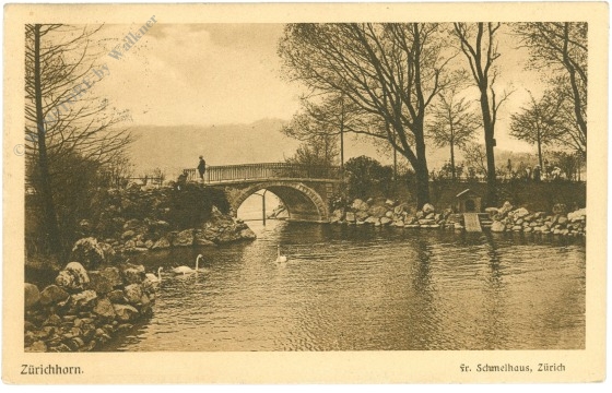 zürich, zürichhorn