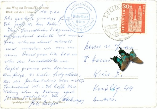 engelberg, auf dem weg zur brunni