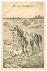 ein treuer kampfgenosse