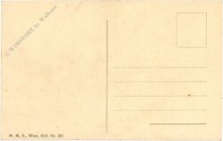 ein treuer kampfgenosse