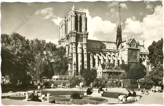 paris, notre dame