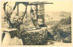(kein titel)paysage provencal