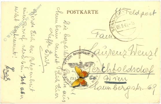 hartmannsweilerkopf, deutsches hauptquartier 1914 1918