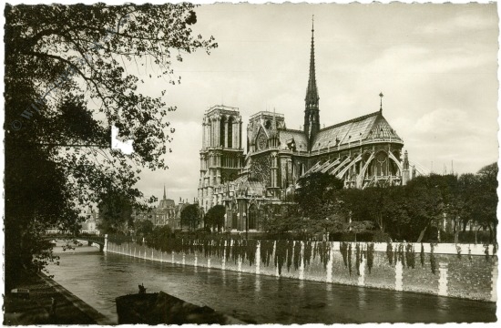 paris, notre dame