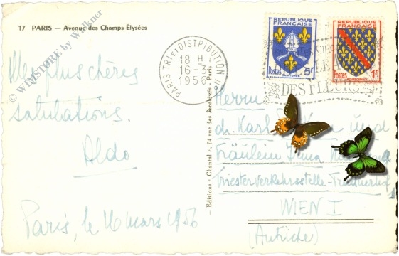 paris, avenue des champs elysees