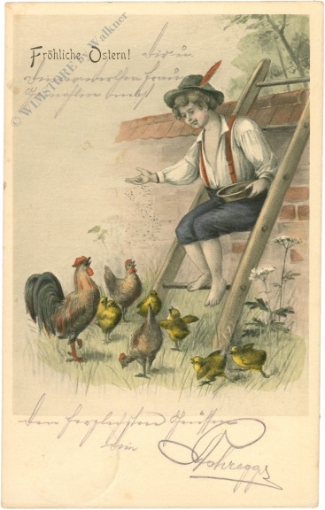 ostern junge füttert hühner ostern junge füttert hühner