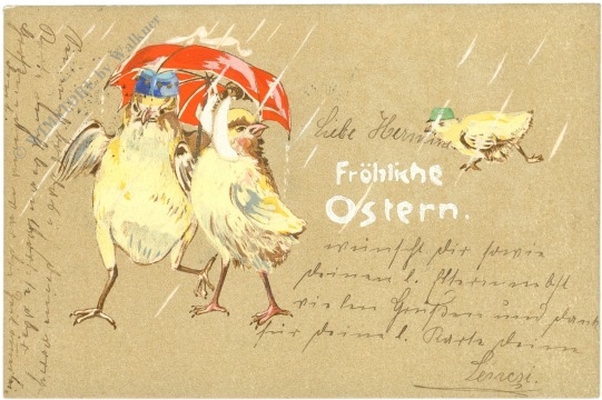 ostern küken gehen spazieren ostern küken gehen spazieren