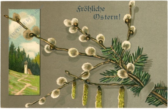 ostern palmzweige ostern palmzweige