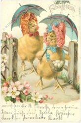 ostern küken ostern küken
