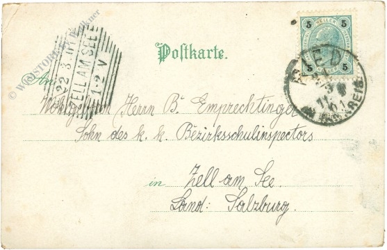 ostern hase mit küken und eier