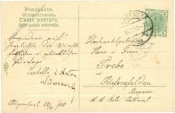 ostern taube mit zweig