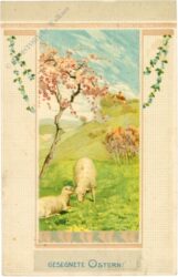 oster schafe auf der wiese