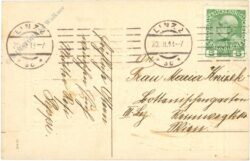 oster schafe auf der wiese