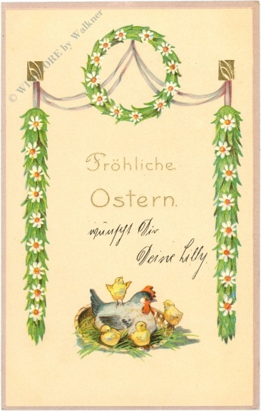 ostern küken mit henne ostern küken mit henne
