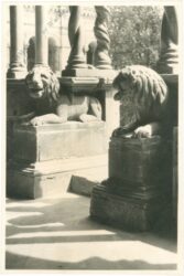 unbekannt: löwenstatuen