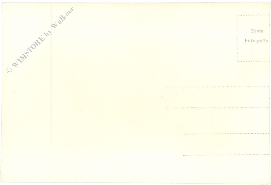 unbekannt: löwenstatuen