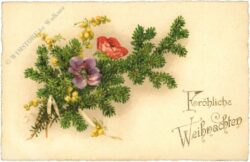 weihnachten: zweig mit blüten