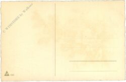 weihnachten: zweig mit blüten