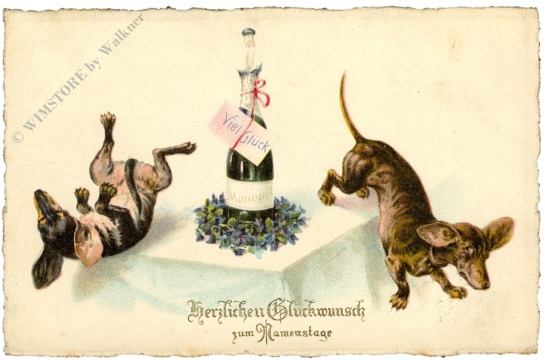 namenstag feiernde dackel