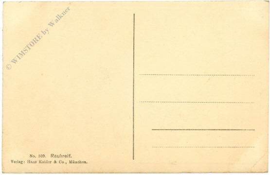 rauhreif auf bäumen