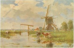 kühe vor einer windmühle