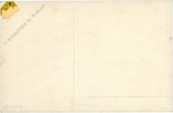 kühe vor einer windmühle