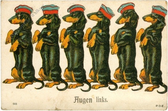 dackel augen links