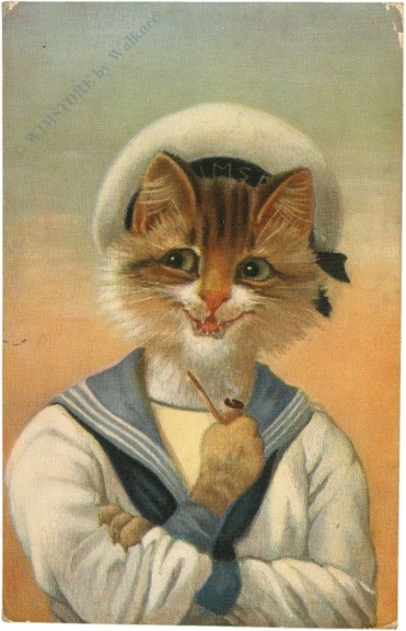 katze als seemann katze als seemann