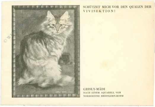 grisly mädi