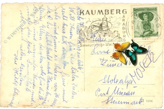 kaumberg, ortsansicht