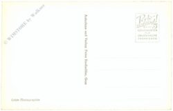 mitterdorf im mürztal, schloss