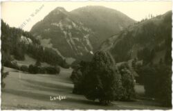 langau, ansicht
