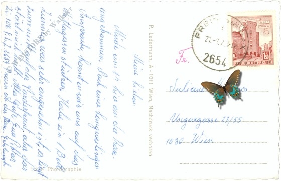 rax, kur und erholungsheim raxblick