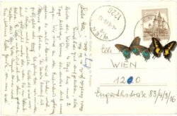 embach im pinzgau, mit hochkönig