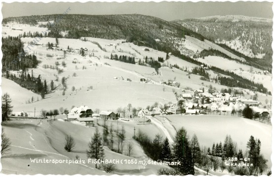 fischbach, ortsansicht