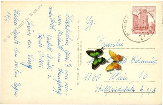 puchberg am schneeberg, ortsansicht